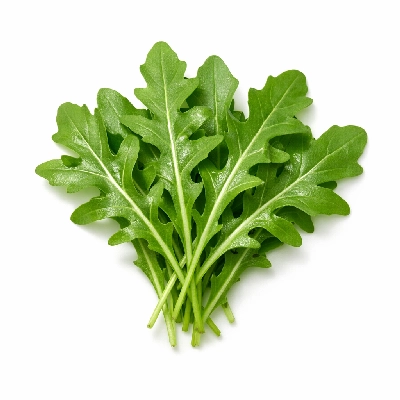 Arugula or rocket raw