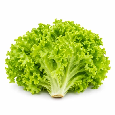 Asda Salad Lettuce Curly