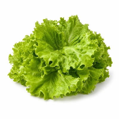 Bad Daddy's Burger Bar Leaf Lettuce