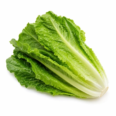 Bad Daddy's Burger Bar Romaine Lettuce 1/2 Large