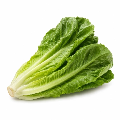 Bad Daddy's Burger Bar Romaine Lettuce Large