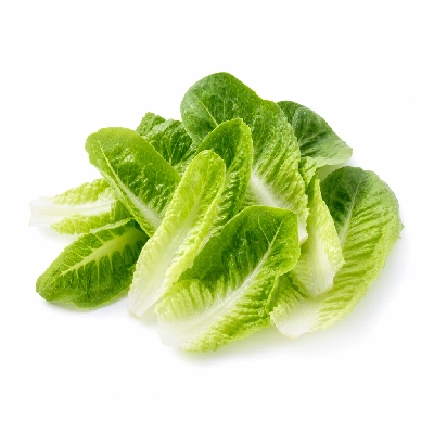 Bad Daddy's Burger Bar Romaine Lettuce Small