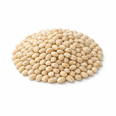 Barley pearled dry uncooked