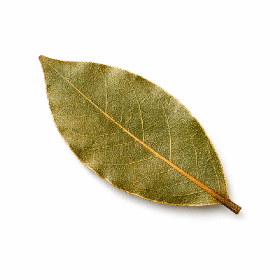 Bay leaf