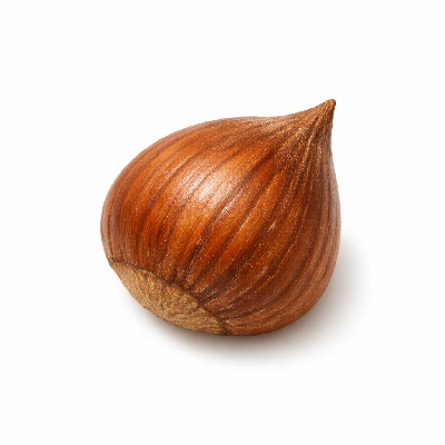 Hazelnuts beaked (northern plains indians)