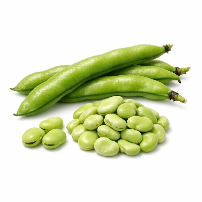 Fava beans raw