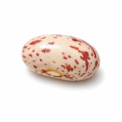 Beans cranberry roman mature seeds raw