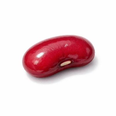 Beans kidney red mature seeds raw