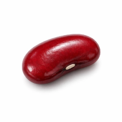 Beans kidney royal red mature seeds raw