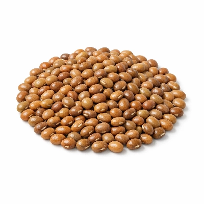Mothbeans mature seeds raw