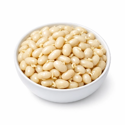 Beans navy mature seeds sprouted cooked boiled drained with salt