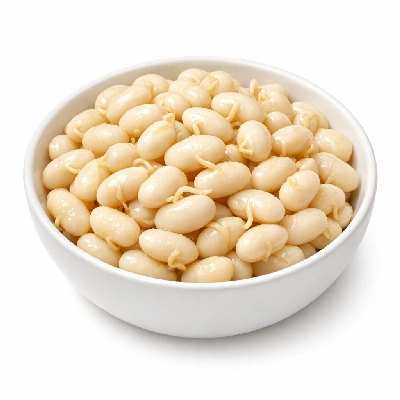 Beans navy mature seeds sprouted cooked boiled drained without salt