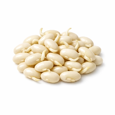 Beans navy mature seeds sprouted raw