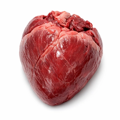 Beef products new zealand imported variety meats and by-products heart raw
