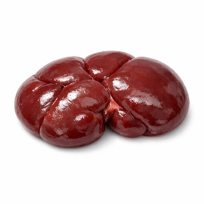 Beef products new zealand imported variety meats and by-products kidney raw