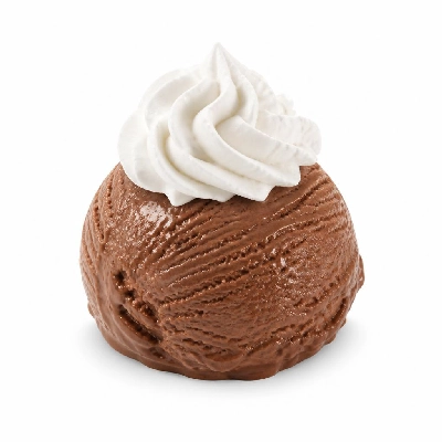 Black Bear Diner Cubs' Menu Scoop of Chocolate Ice Cream with Whipped Cream