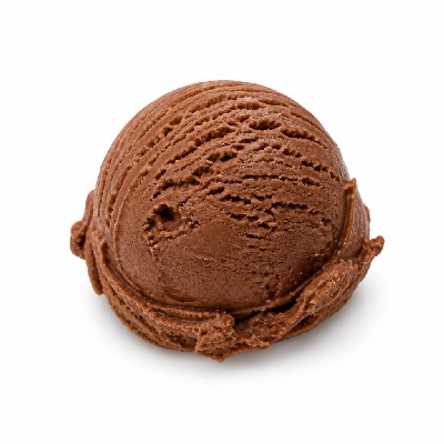 Black Bear Diner Dessert Scoop of Chocolate Ice Cream