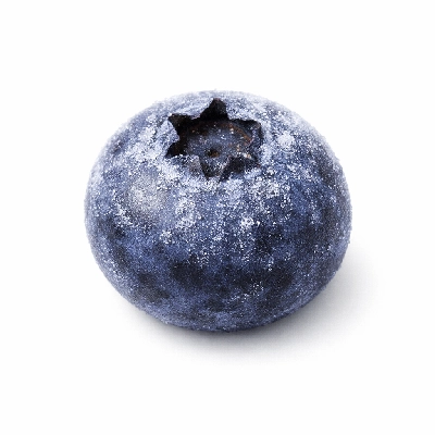 Blueberries frozen by Alaska Native