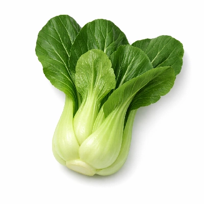 Bok choy or pak choi or Chinese cabbage raw