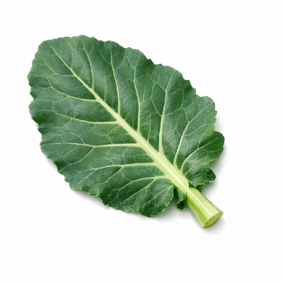 Broccoli leaves raw