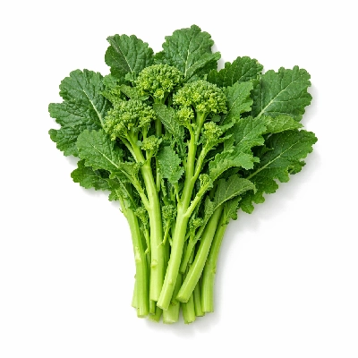 Broccoli raab rabe or rapini raw