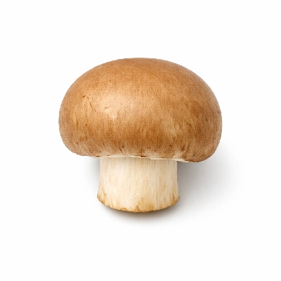 Mushrooms brown high vitamin D raw