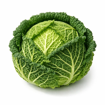 Cabbage savoy raw