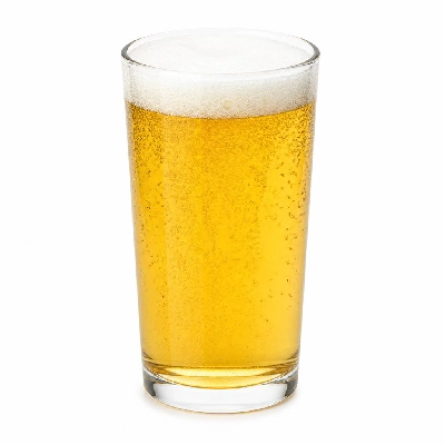 California Pizza Kitchen Bud Light Bottled Beers 24 Oz
