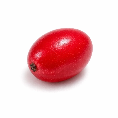 Carissa natal-plum raw