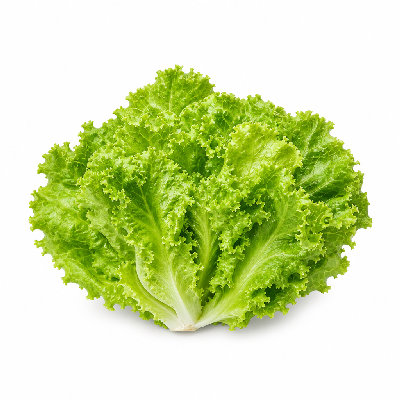 Carl's Jr. Lettuce