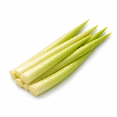 Cattail narrow leaf shoots (northern plains indians)