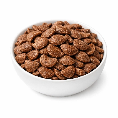 Cereals malt-o-meal chocolate dry