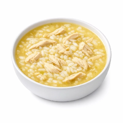 Chicken and rice soup canned, condensed