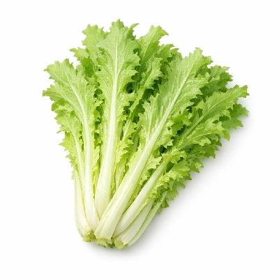 Chicory greens raw
