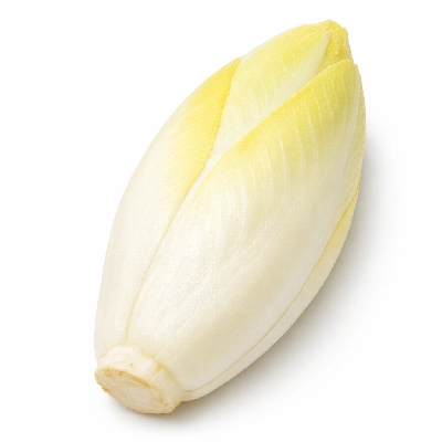 Chicory witloof raw
