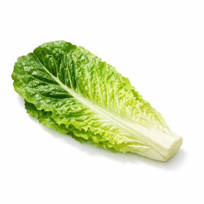 https://eato.health/food-images/feast/act/chipotle-romaine-lettuce-taco-kid-s-menu-8689417-1.webp
