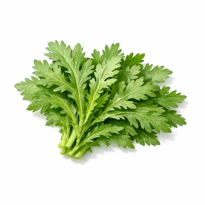 Chrysanthemum garland raw