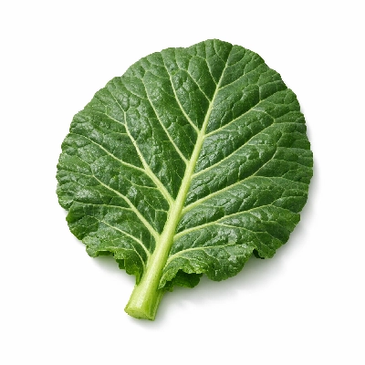 Collard greens raw