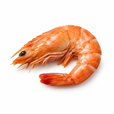 Compliments Seafood Shrimp Extra Colossal Freshwater