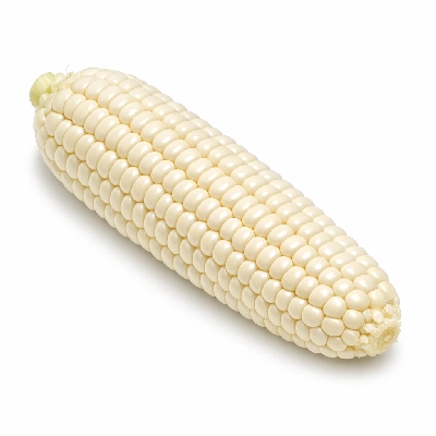 Corn sweet white raw
