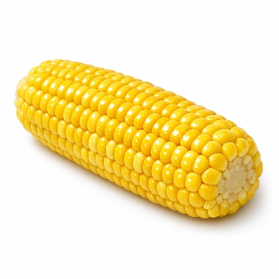 Corn sweet yellow frozen kernels on cob cooked boiled drained without salt