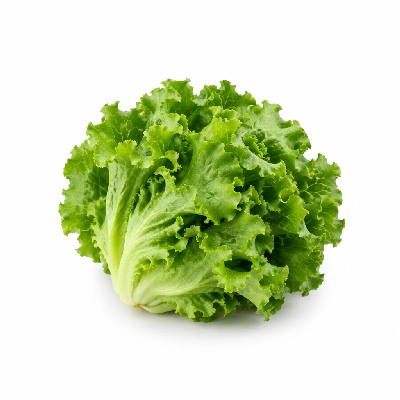 Costa Vida Lettuce 5 Oz