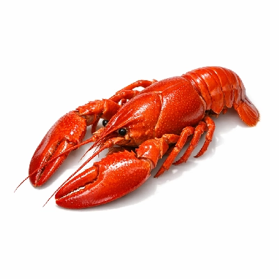 Crustaceans crayfish mixed species farmed cooked moist heat