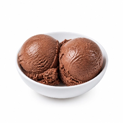 Culver's Chocolate Dish 2 Scoop