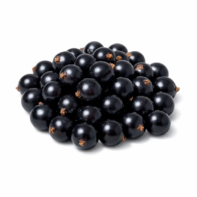 Currants european black raw