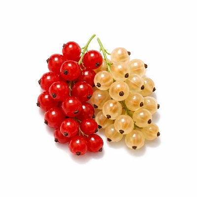 Currants red and white raw