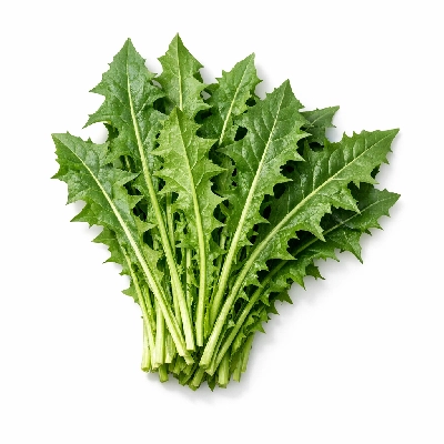 Dandelion greens raw