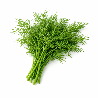 Dill weed fresh or raw herb