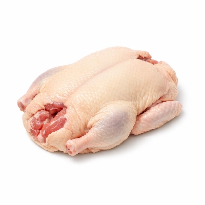 Duck domesticated meat and skin raw