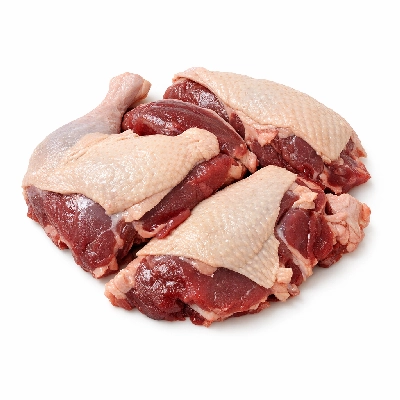 Duck wild meat and skin raw